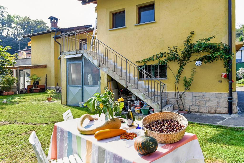 Petit Jardin - Happy Rentals