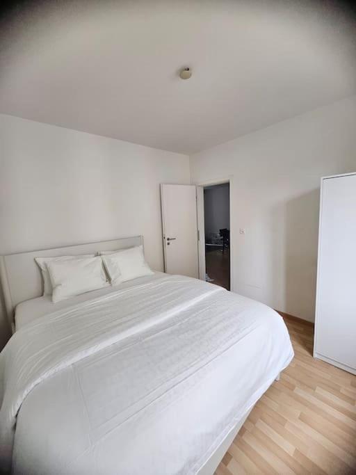 Cozy 2 Room- Zürich City Center