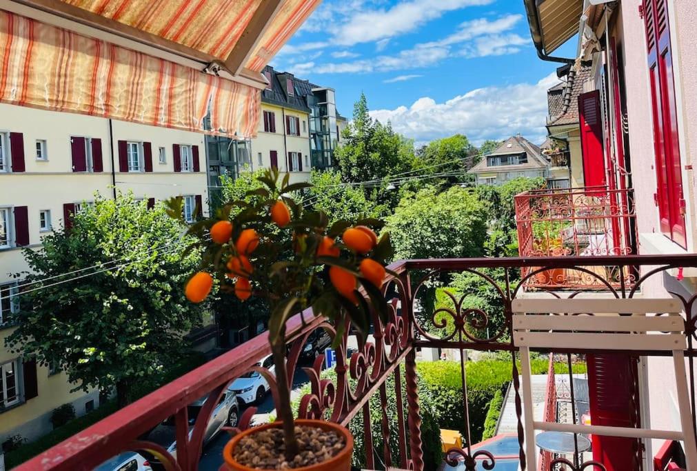 A deux pas du lac et de IMD, Ouchy bel appartement